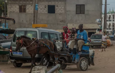 Paseos en caballos amenazados por mototaxis en Senegal