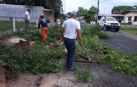 Primeras lluvias dejan caída de árboles en comunidades santeñas