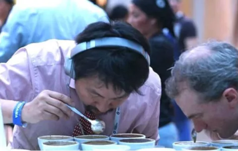 Café Geisha impone nuevo récord en catación