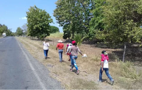Desde tempranas horas feligreses caminan hacia Alanje