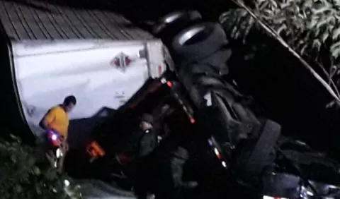 Camionero panameño pierde la vida en territorio costarricense