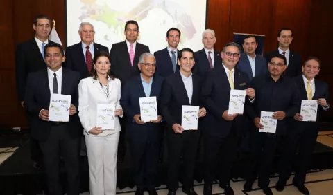 Este lunes 4 de marzo se levanta veda y se reglamenta divulgación de propaganda electoral