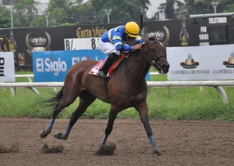 Letrado, Candy Sugar Lady y Brigantia va con la llave de la victoria 