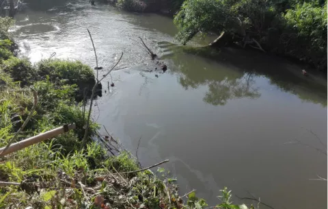 Agua del río Trapichito no sirve para culecos, determinan inspectores del Minsa 