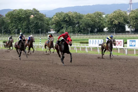 Doble acumulado en la cartilla de nueve competencias de este jueves