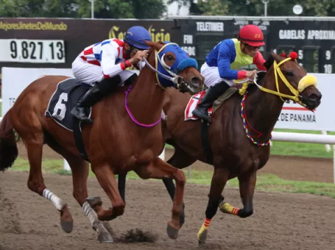 Libertador, Explorador y Jisskar R., medirán fuerzas sobre el tiro corto
