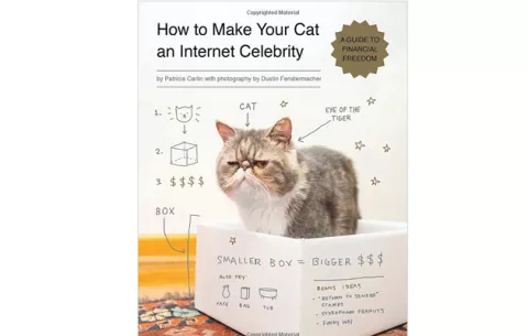 ¡Best-Seller ga-ran-ti-za-do! Libro sobre cómo convertir a tu gato en una estrella