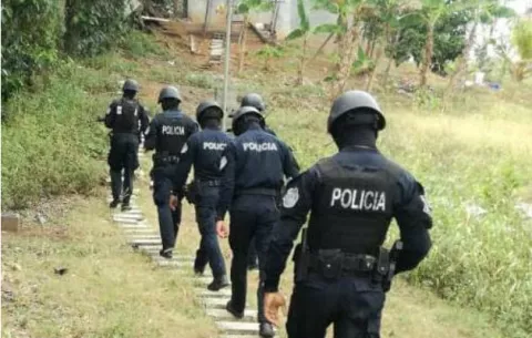 Un detenido y decomiso de armas en allanamientos policiales en Cativá