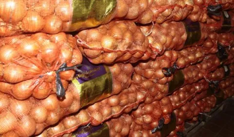 Cebolla volverá al mercado nacional este fin de semana 