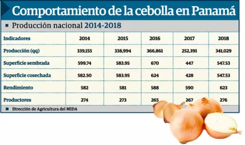 La cebolla podría llegar a costar hasta $1.25 la libra