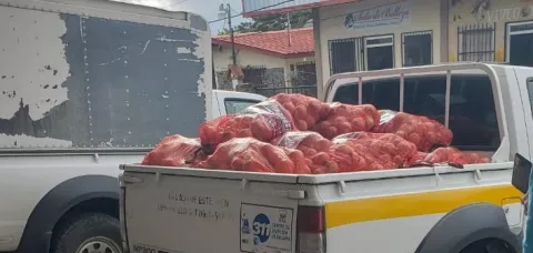 Decomisan cebolla importada en el distrito de Tierras Altas