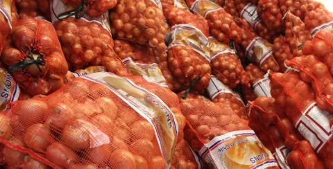 Restablecen cobro de 72 por ciento a las importaciones de cebolla