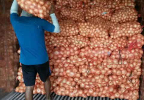 Mida busca frenar especulación en el precio de la cebolla 