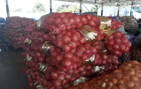 Precio de la cebolla podría bajar a 80 centavos la libra a partir de este fin de semana