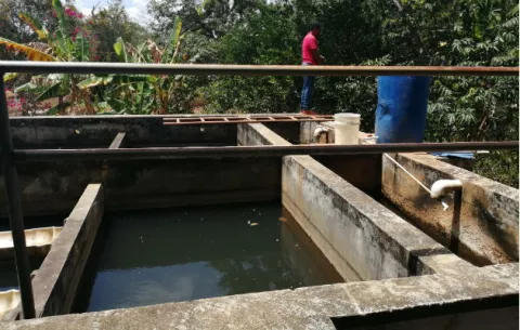 Por posible contaminación paralizan planta potabilizadora en La Chorrera 