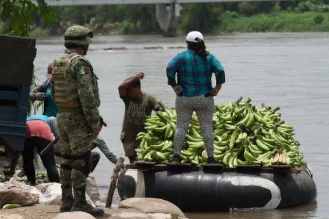 Detienen a 228 migrantes ocultos en un camión en el suroriental estado de Chiapas