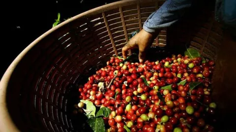 Chile apuesta por poner su tecnología e innovaciones en el agro colombiano