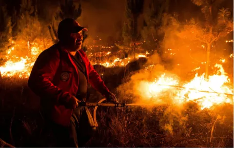 Chile: Los incendios forestales arrasan al menos 53.000 hectáreas