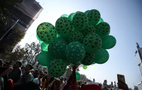 Miles de chilenos marchan para pedir cambios en el acceso al cannabis medicinal