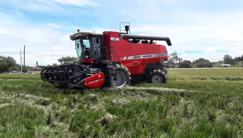 Productores de arroz en Chiriquí anuncian protestas contra el Gobierno