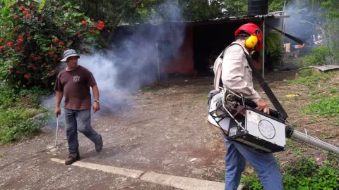 Se incrementan los niveles de infestación de dengue en Barú y David 