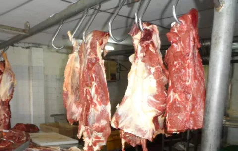 Unas 250 cabezas de ganado se dejaron de sacrificar en Chiriquí  por huelga