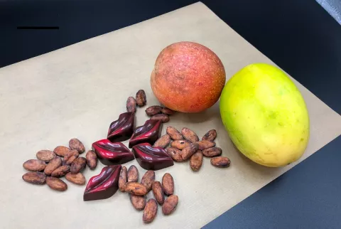 Chocolate panameño gana certamen internacional