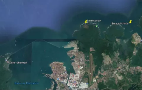 Ciam demanda a la Autoridad Marítima de Panamá