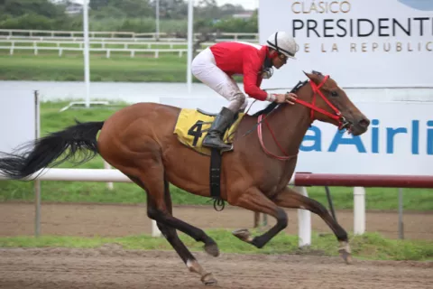 Queen Ceci va por su cuarto triunfo al hilo en el clásico de este domingo