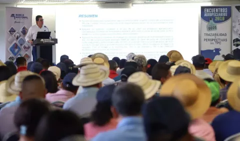  Política de créditos al agro tendrá cambios en el Banco Nacional