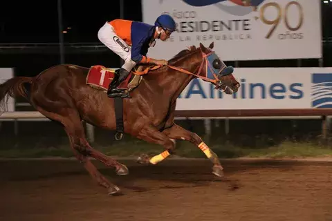 Black Paw figura entre los cuatro debutantes, en una carrera de 15 rivales