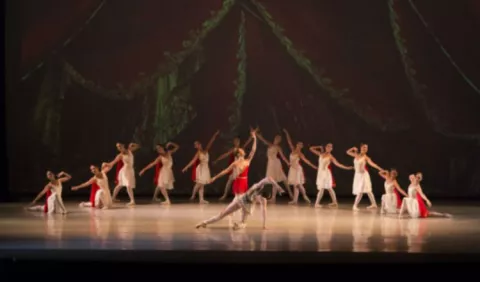 Audiciones para estudiar Danza 