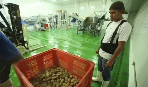 Aupsa y TLC, en mira de los candidatos presidenciales para rescatar al sector agro