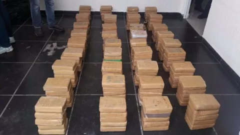 Decomisan media tonelada de droga en operación de la PN