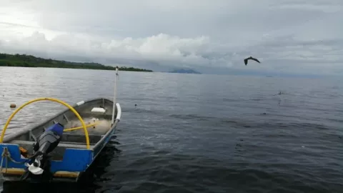 Ministerio Público inicia investigación por posible delito ecológico en Puerto Caimito