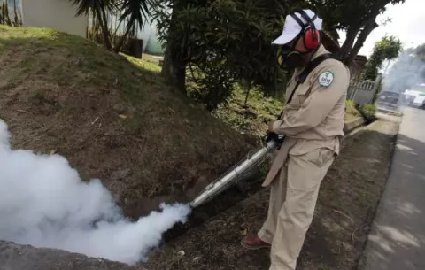 Minsa confirma aumento en  los casos de dengue en Panamá