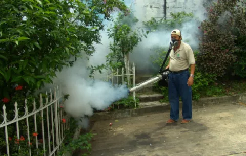 Minsa reporta 902 casos de dengue y tres defunciones en lo que va del año