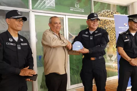 MiAmbiente ya tiene dirección contra delitos ambientales