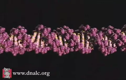 ¿Te podrías enterar si tienes cualquier tipo de cáncer con una prueba de sangre sencilla?