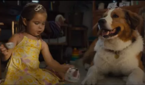 'A dog's journey' los enternecerá