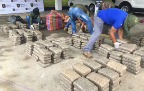 Decomisan 656 kilos de droga entre matorrales de playa El Coco en Capira