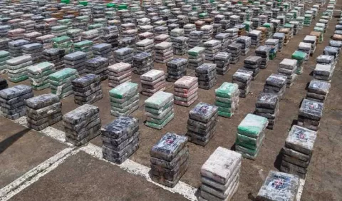 Senan incauta droga valorada en $100 millones