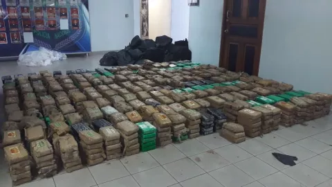 Decomisan más de una tonelada de droga en un contenedor
