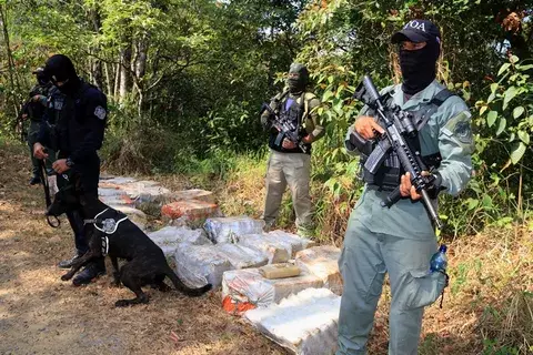 Más de 450 paquetes de droga fueron decomisados en Cerro Azul