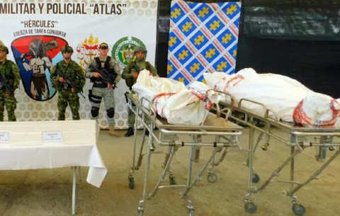 Muerte de alias "Guacho" es un duro golpe para los disidentes de las Farc