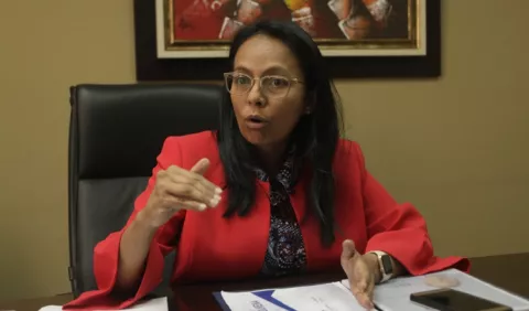 Gobierno  apuesta al plan 'Colmena'