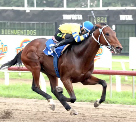 The Bullet y El Cuentista tratarán confirmar su clase en una carrera de 1,400 metros