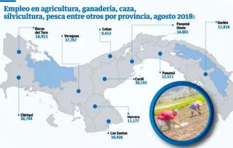 Cae el mayor generador de empleos en las provincias