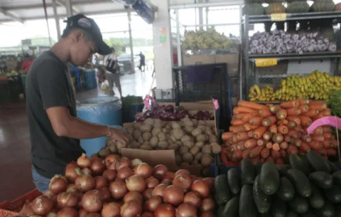 Escasez de cebolla se intensificará esta semana