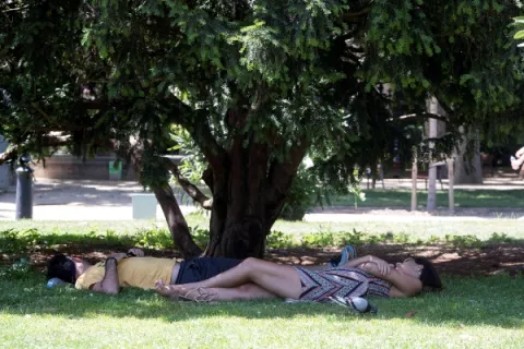 Dos muertos por ola de calor en España y 10 mil hectáreas quemadas por incendio forestal